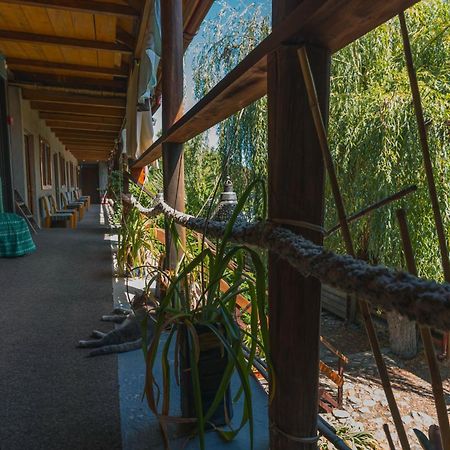 Casa Dexter Hotel Vama Veche Buitenkant foto