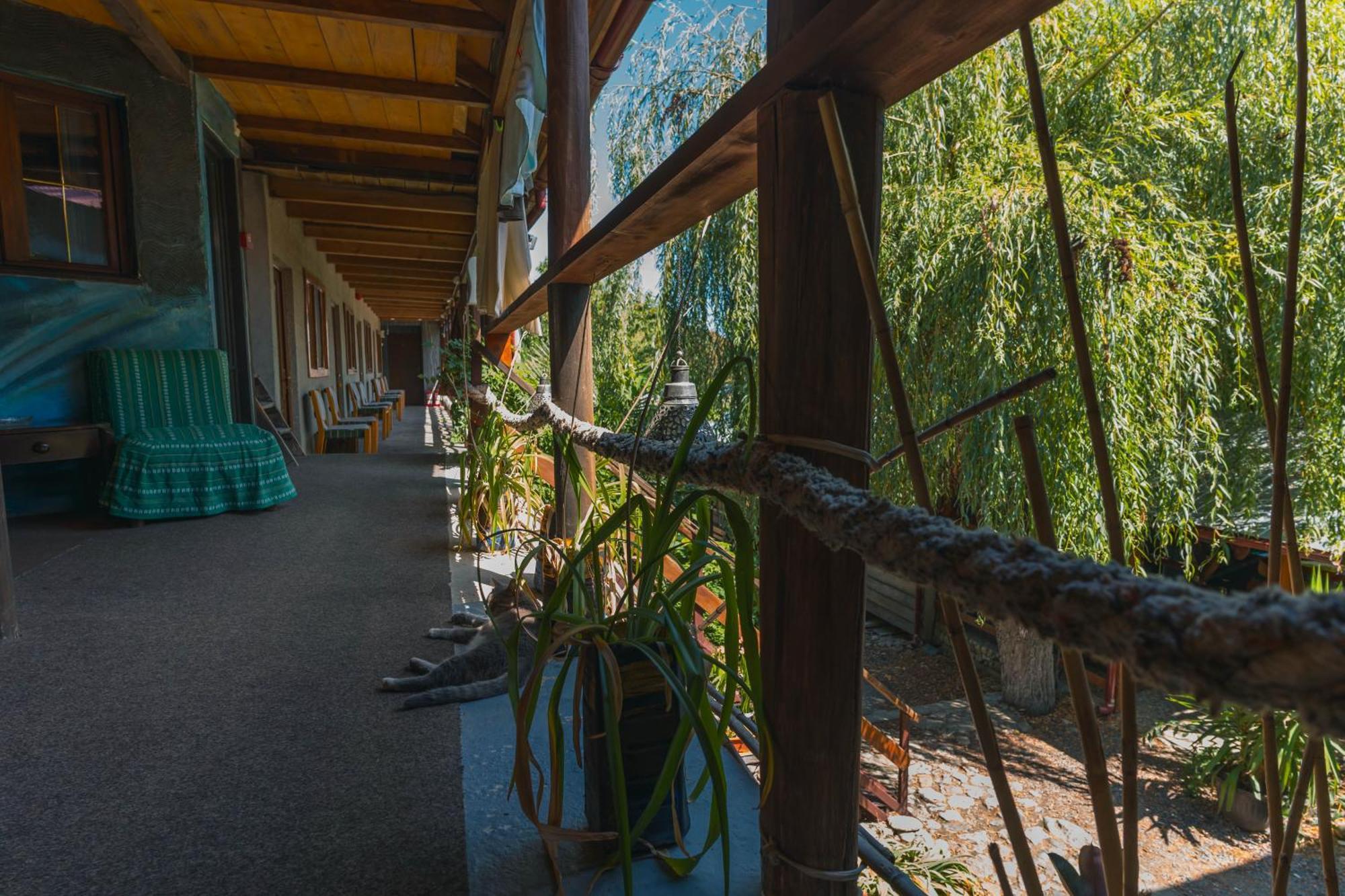 Casa Dexter Hotel Vama Veche Buitenkant foto